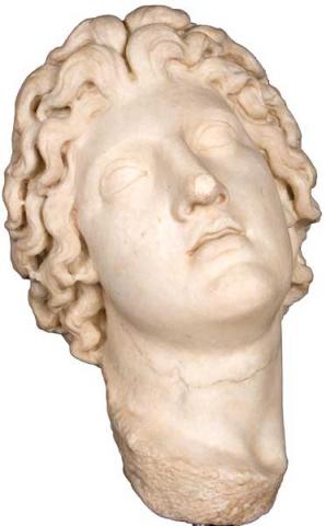 Testa maschile (Alessandro Magno) 
