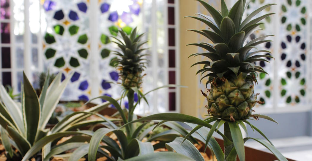 Serra Moresca Serra Moresca