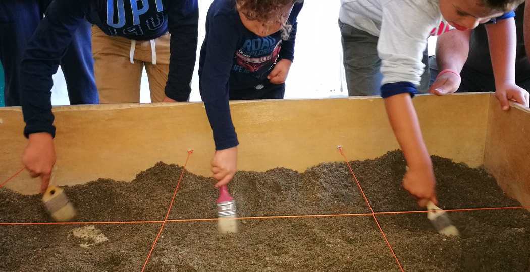 Fossili e dinosauri Fossili e dinosauri