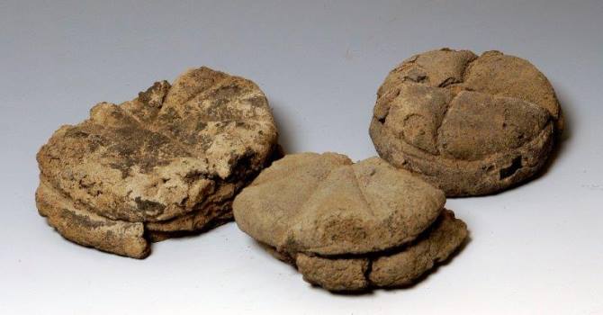 Pani da Ercolano Pani da Ercolano